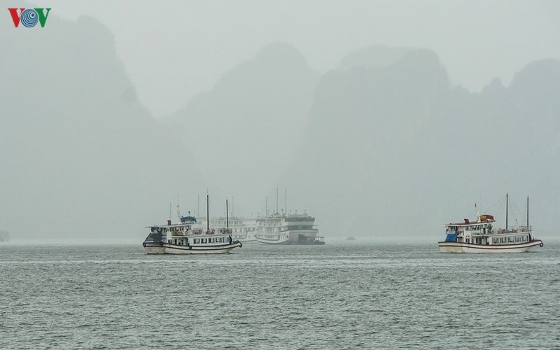 Tạm dừng cấp phép tàu tham quan, lưu trú trên vịnh Hạ Long
