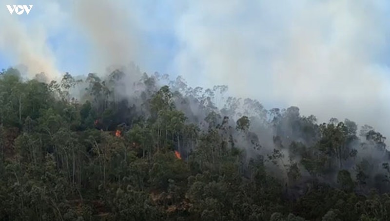 150 người tham gia chữa cháy rừng ở Hòa Vang, Đà Nẵng