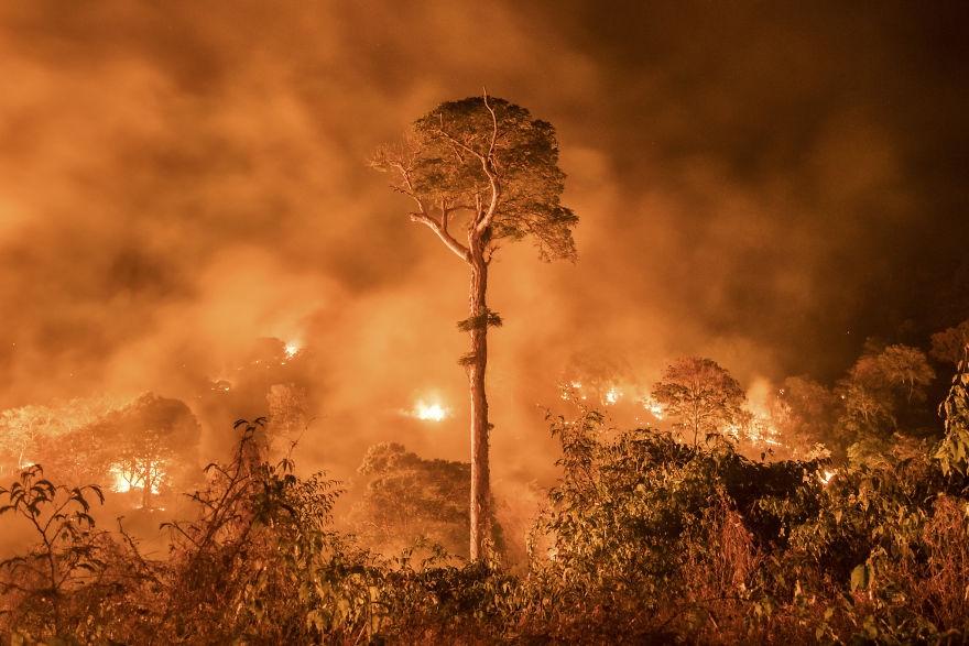 Cháy rừng Amazon.