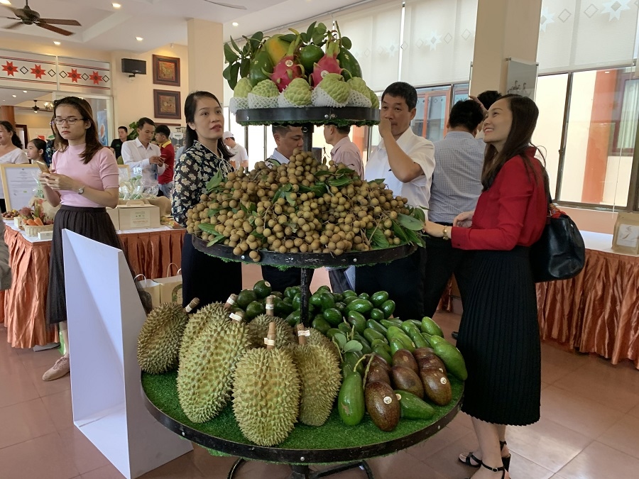 Trái cây của Đắk Lắk được trưng bày giới thiệu tại hội nghị về nâng cao chất lượng nông sản của Bộ NN&PTNT