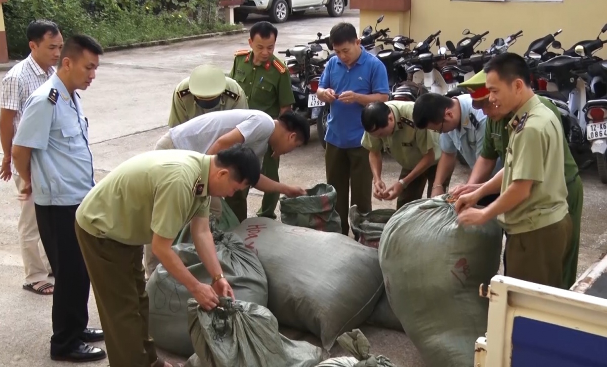 Lạng Sơn: Bắt giữ gần 350 kg nguyên liệu thuốc bắc nhập lậu