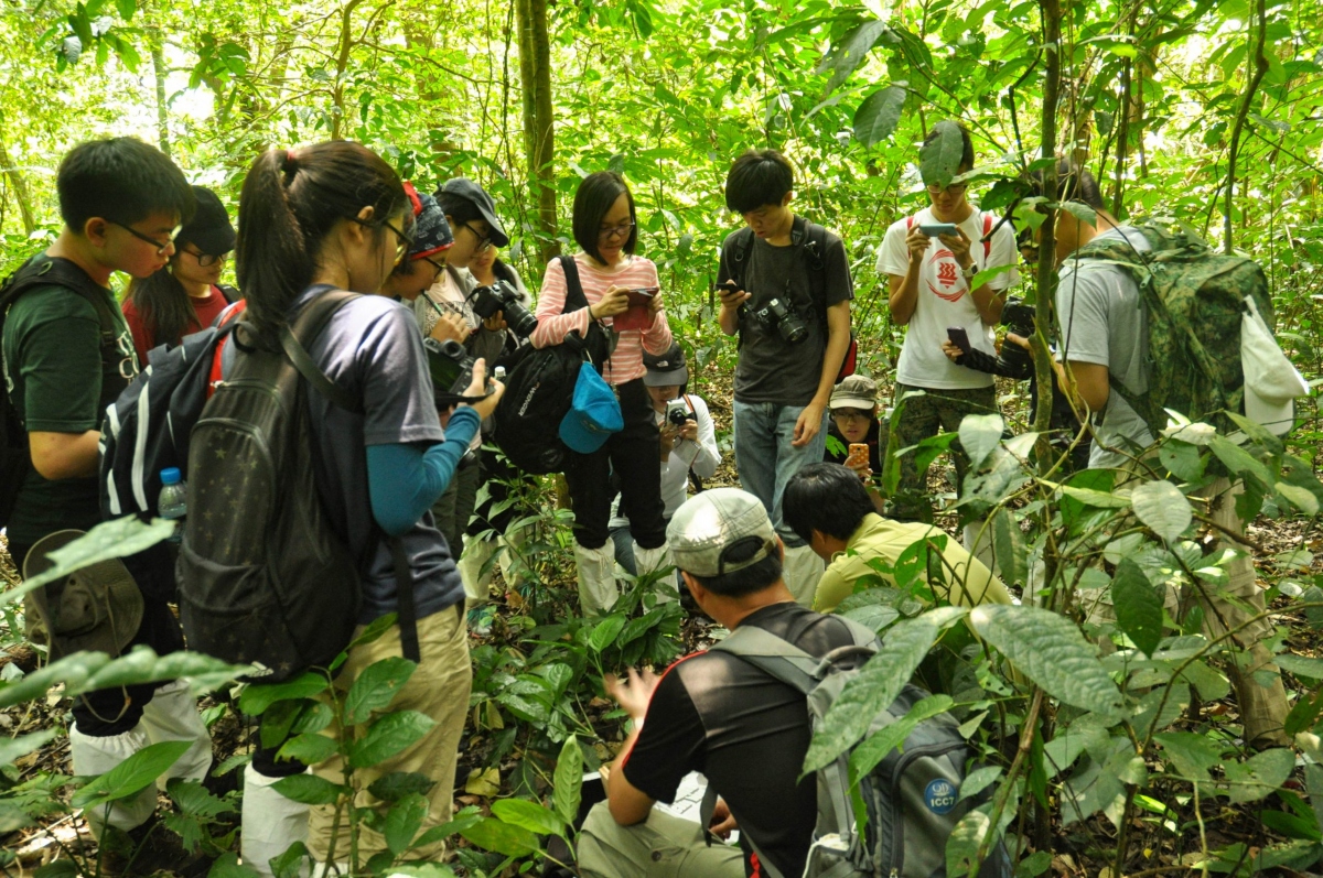 Trekking rừng Cúc Phương. Ảnh: CCD