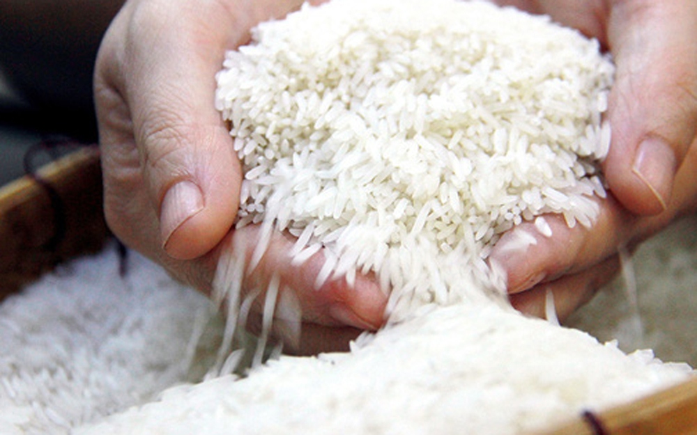 Tuần tới sẽ xuất lô gạo ngon nhất sang thị trường châu Âu với mức giá cao. (Ảnh minh họa: KT)