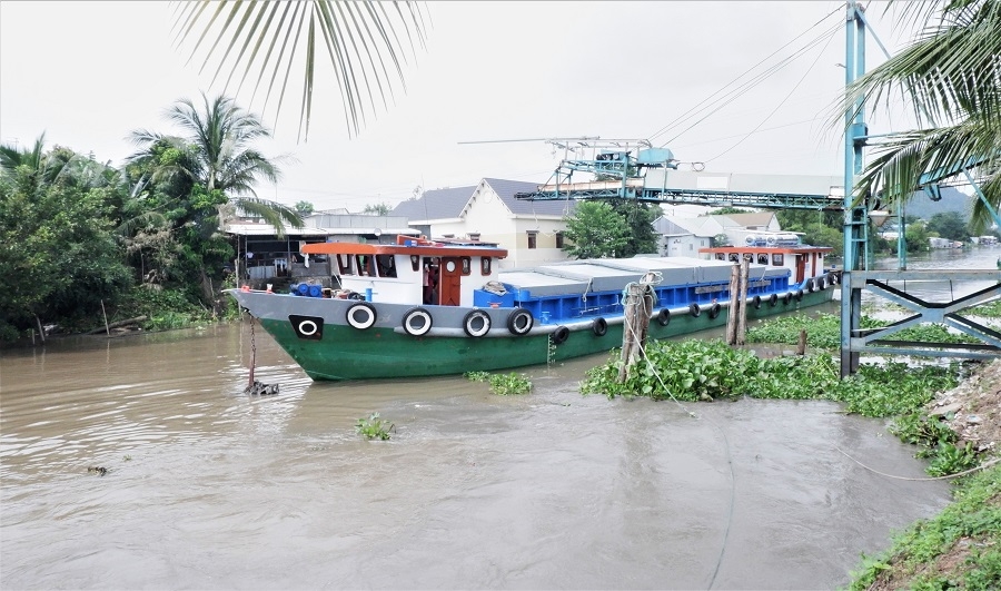 Xuất khẩu lô hàng gạo thơm đầu tiên sang châu Âu