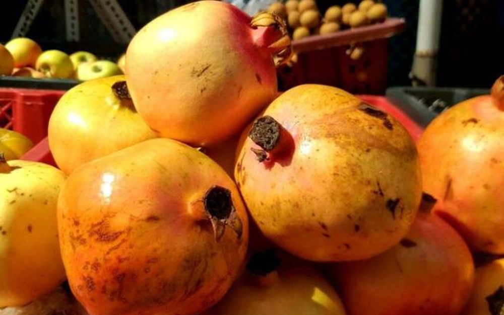 Nhiều loại trái cây ngoại đắt đỏ đổ vào Việt Nam