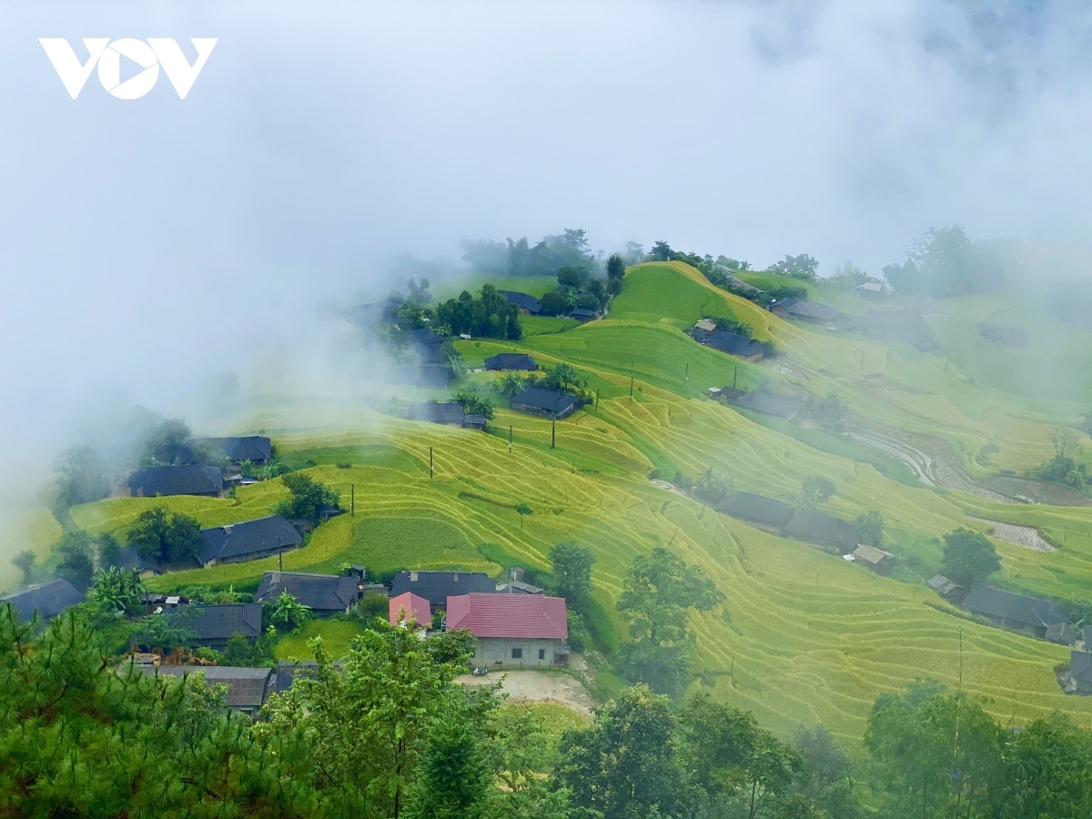 Hoang Su Phi district in Ha Giang province is located approximately 300km from Hanoi. The terraced fields in the mountainous area are similar to a scene from a fairytale and are a worthy gift for tourists who must overcome plenty of obstacles on a long road in order to reach the site.