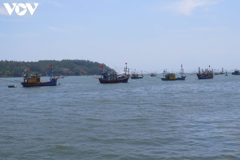 Từng đoàn tàu của ngư dân Quảng Ngãi nối nhau ra ngư trường.