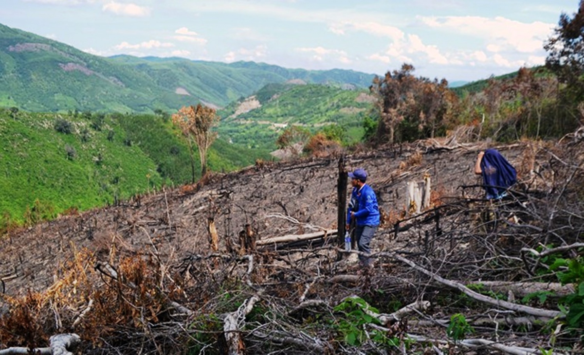 Kiểm tra dấu hiệu vi phạm đối với cán bộ xã liên quan đến phá rừng ở Phú Yên