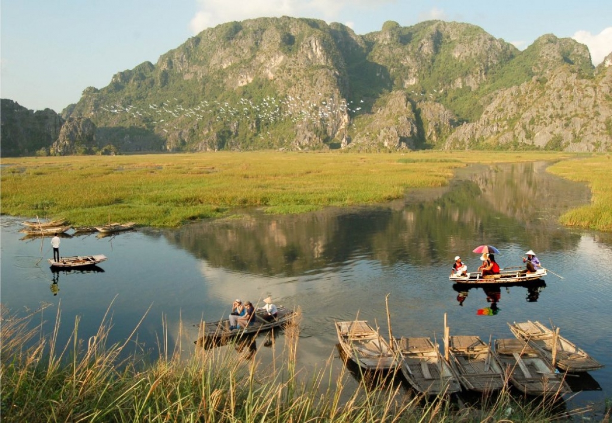 Taking a boat to discover the Van Long Wetland Nature Reserve is an unmissable experience for tourists.