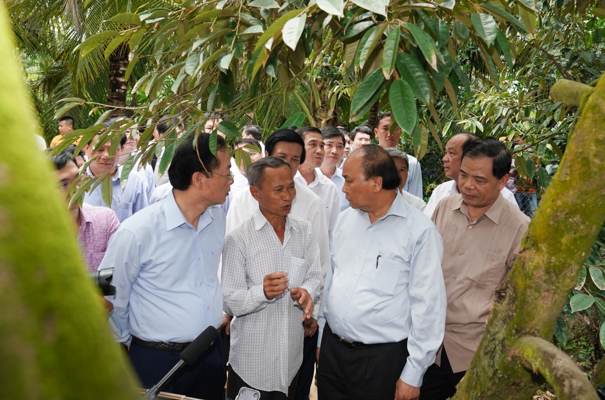 Thủ tướng thăm mô hình vườn cây sầu riêng của ông Mai Văn Âu.