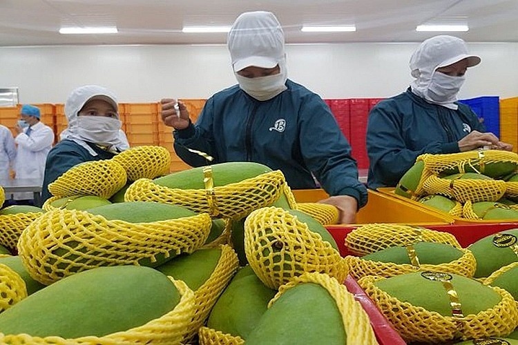 Chuyên gia kiểm dịch xuất khẩu trái cây Hoa Kỳ sẽ đến Việt Nam vào 2/9