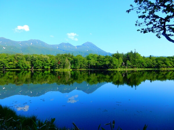 Bán đảo Shiretoko nhô ra từ biển Okhotsk ở Đông Bắc của Hokkaido; được coi là vùng đất hoang sơ cuối cùng chưa được khám phá của Nhật Bản. Toàn bộ khu vực này là công viên quốc gia, với các loài động vật hoang dã như chim cốc biển và đại bàng đầu trọc sinh sống ở những vùng núi hiểm trở được bao phủ bởi rừng nguyên sinh. Ngũ hồ của Shiretoko được gọi là “Ngũ bảo”, với quần thể 5 hồ nước nhỏ, yên tĩnh được bao quanh bởi khu rừng nguyên sinh.