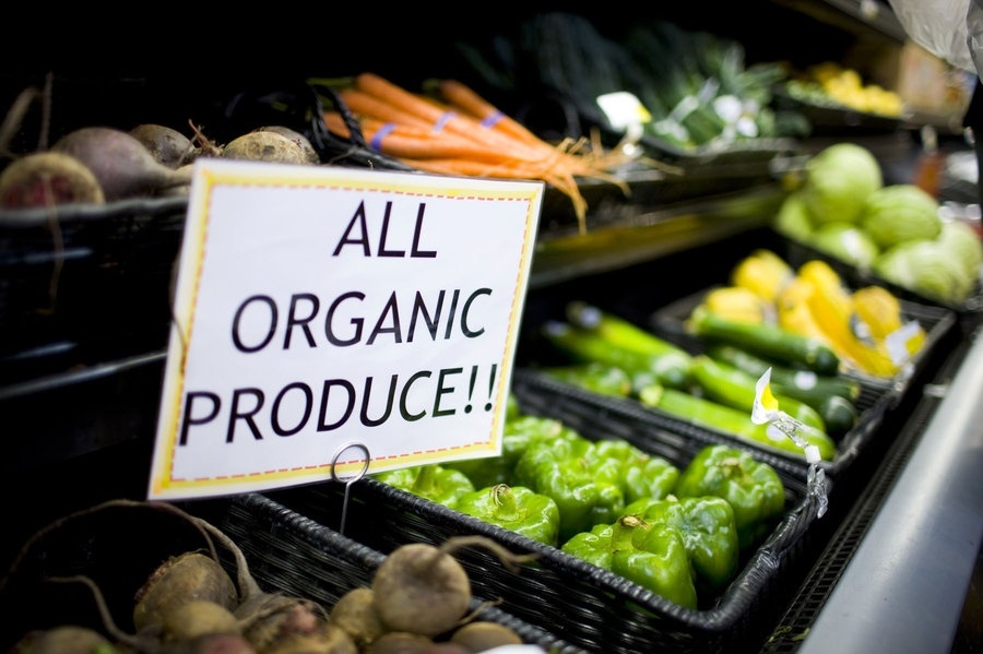 Vietnam shows great potential for organic agricultural produce exports 