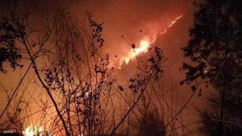 Cháy rừng ở khu vực biên giới Lebanon, Israel và Syria