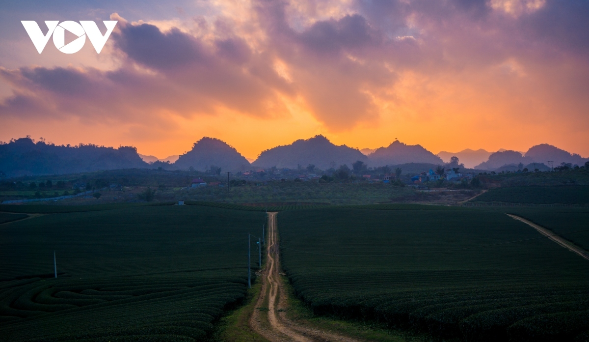 The sun sets on Moc Chau plateau in the northern province of Son La.