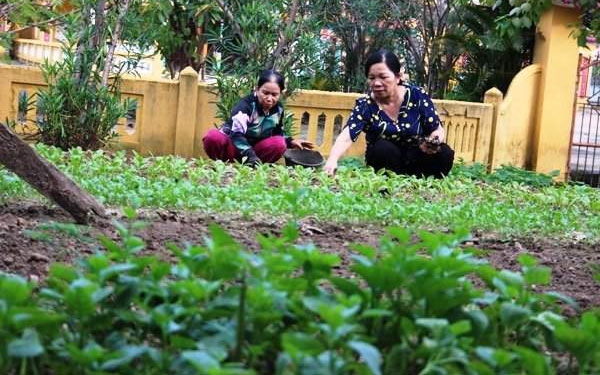 Phụ nữ Đà Nẵng thành công với nhiều mô hình bảo vệ môi trường