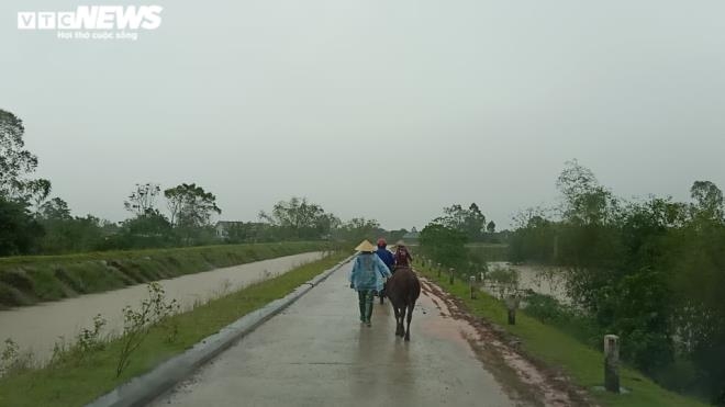 Còn tại xã Cẩm Thạch (huyện Cẩm Xuyên), Chủ tịch UBND huyện Cẩm Xuyên yêu cầu di dời 180 hộ dân ở các vùng trọng điểm. Trong đó, ưu tiên đưa người già, trẻ em, người tàn tật ra khỏi vùng nguy hiểm.