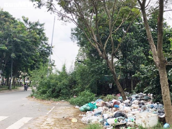 Hàng cây xanh hai bên đường cũng nhanh chóng trở thành những điểm tập kết rác tự phát.