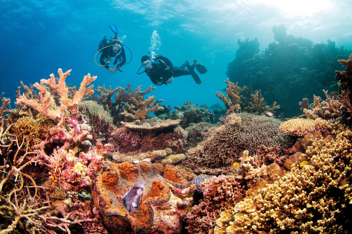 The Great Barrier Reef in Australia. (Photo: Aussie Specialist Program)