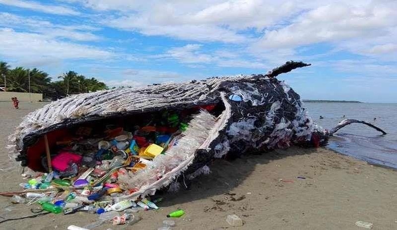 Một coi cá voi chết vì 40 kg rác thải nhựa trong bụng trên bờ biển Philippines. Ảnh: The Guardian.