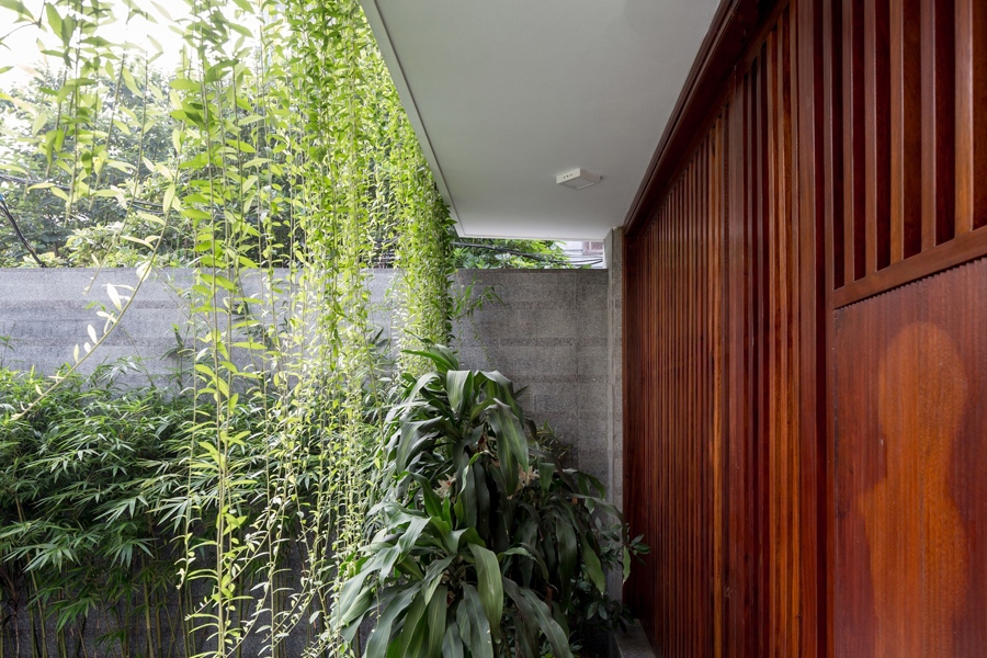 Ngôi nhà gây ấn tượng bởi kiến trúc đơn giản, hiện đại và đặc biệt là những cây xanh từ bồn trên cao rủ xuống tạo thành những bức rèm xanh.