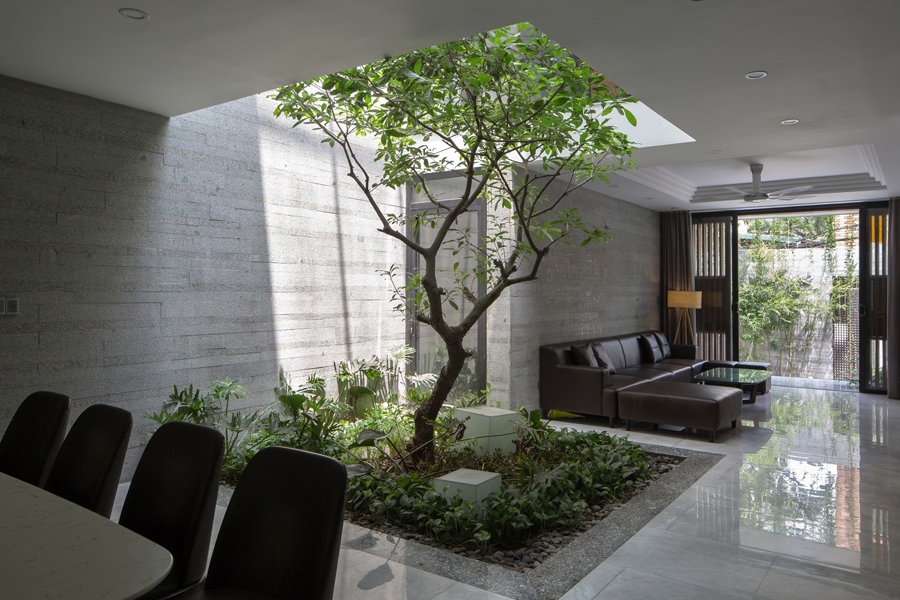 Ánh nắng từ trên mái kính giếng trời rọi xuống có thể trồng được cây lớn tạo cảnh quan trong nội thất.