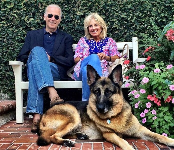 Điều thú vị về chú chó "vô gia cư" của ông Joe Biden