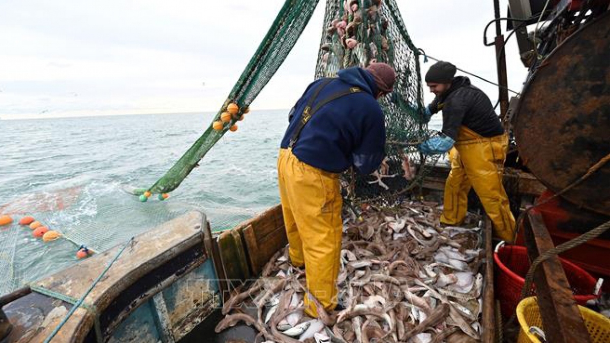 Nghề cá vẫn là trở ngại lớn nhất ngăn EU và Anh đạt thỏa thuận hậu Brexit