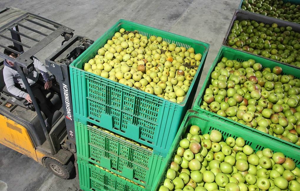 Nga cấm nhập cà chua và táo từ Azerbaijan từ ngày 10/12