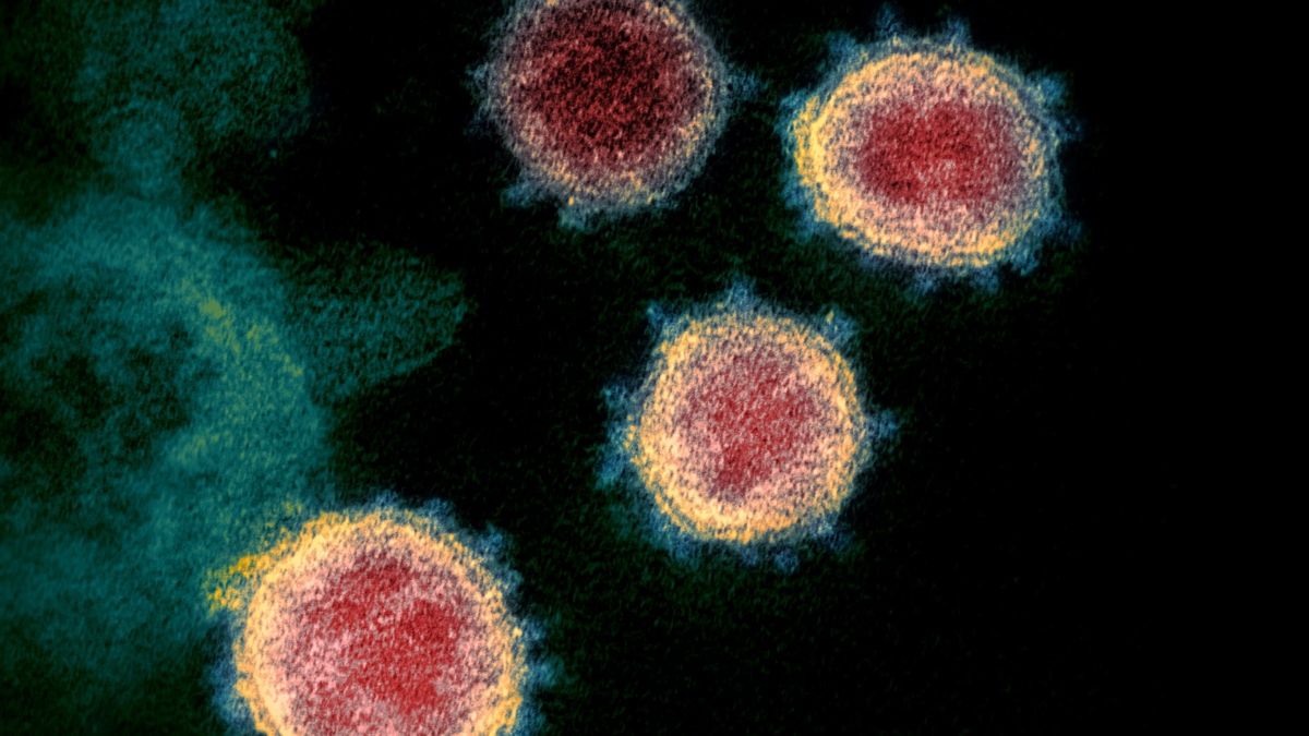 Anh phát hiện biến thể khác của virus SARS-CoV-2 có nguồn gốc từ Nam Phi