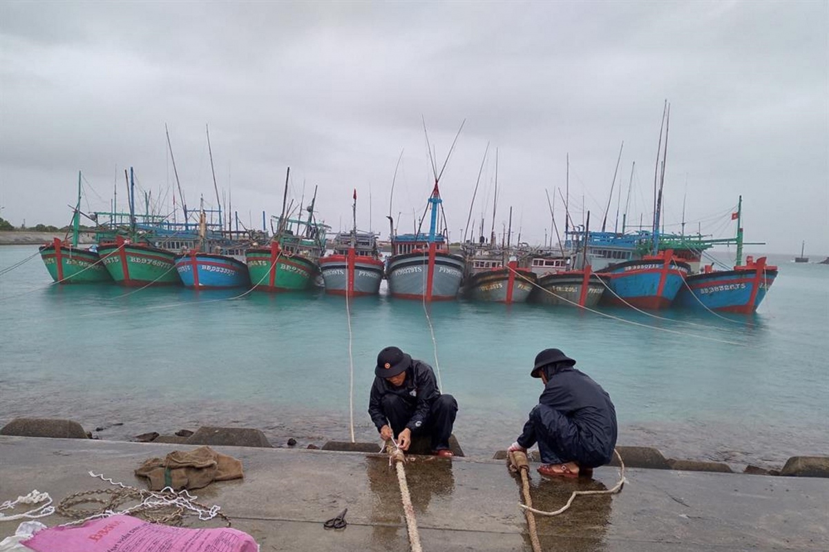 Hỗ trợ gần 600 ngư dân vào tránh, trú bão số 14 tại huyện đảo Trường Sa