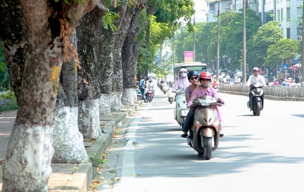 Thời tiết ngày 10/12: Bắc Bộ ngày nắng, đêm có mưa vài nơi