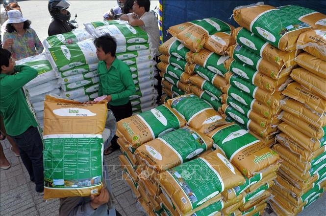 Sản lượng gạo xuất khẩu của Campuchia tăng mạnh