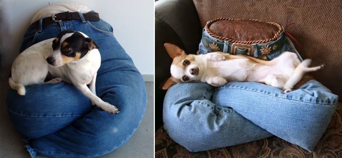 Những ý tưởng biến đồ cũ trong nhà thành chiếc giường êm ái cho thú cưng