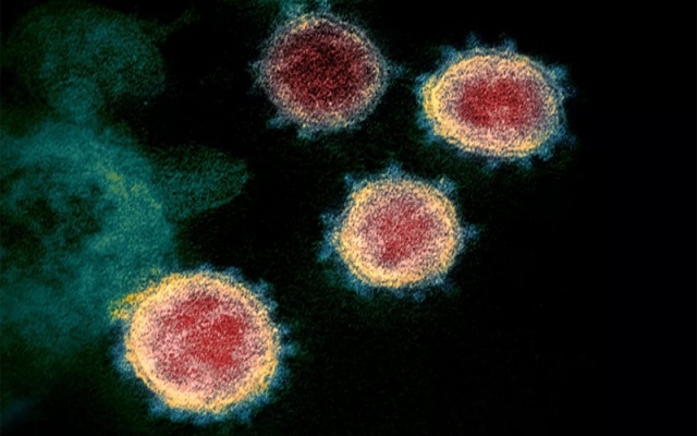 Biến thể virus SARS-CoV-2 tại Anh đã lan ra toàn thế giới