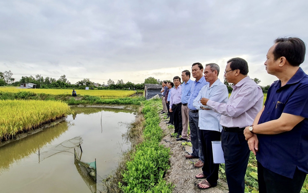 Bạc Liêu chủ động các giải pháp ứng phó hạn hán, xâm nhập mặn