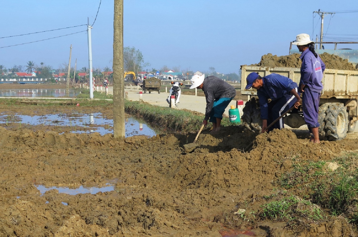 Thừa Thiên Huế tập trung hỗ trợ nông dân sản xuất vụ Đông Xuân