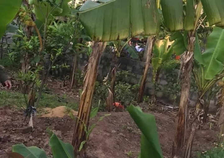 Nữ sinh lớp 10 tử vong bất thường tại vườn chuối ở Hà Nam