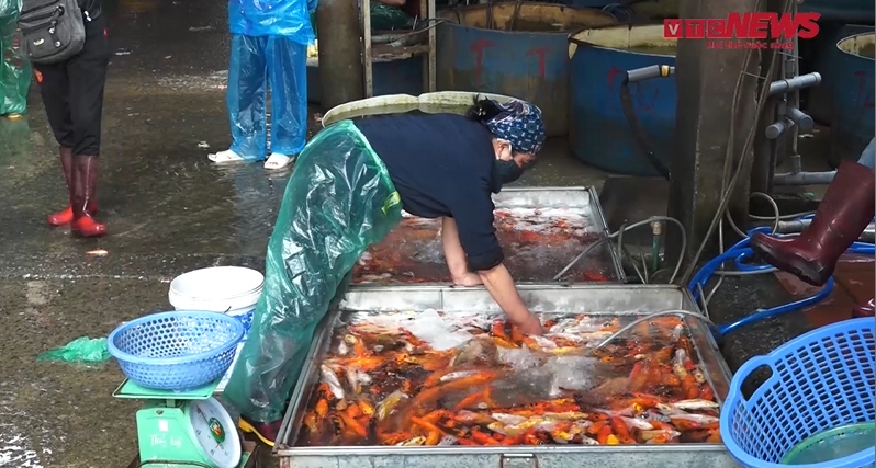 Tấp nập người mua bán tại chợ cá lớn nhất Hà Nội trước ngày ông Công ông Táo