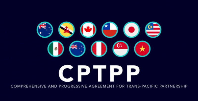 Việt Nam sẵn sàng chia sẻ thông tin, kinh nghiệm tham gia CPTPP với Anh