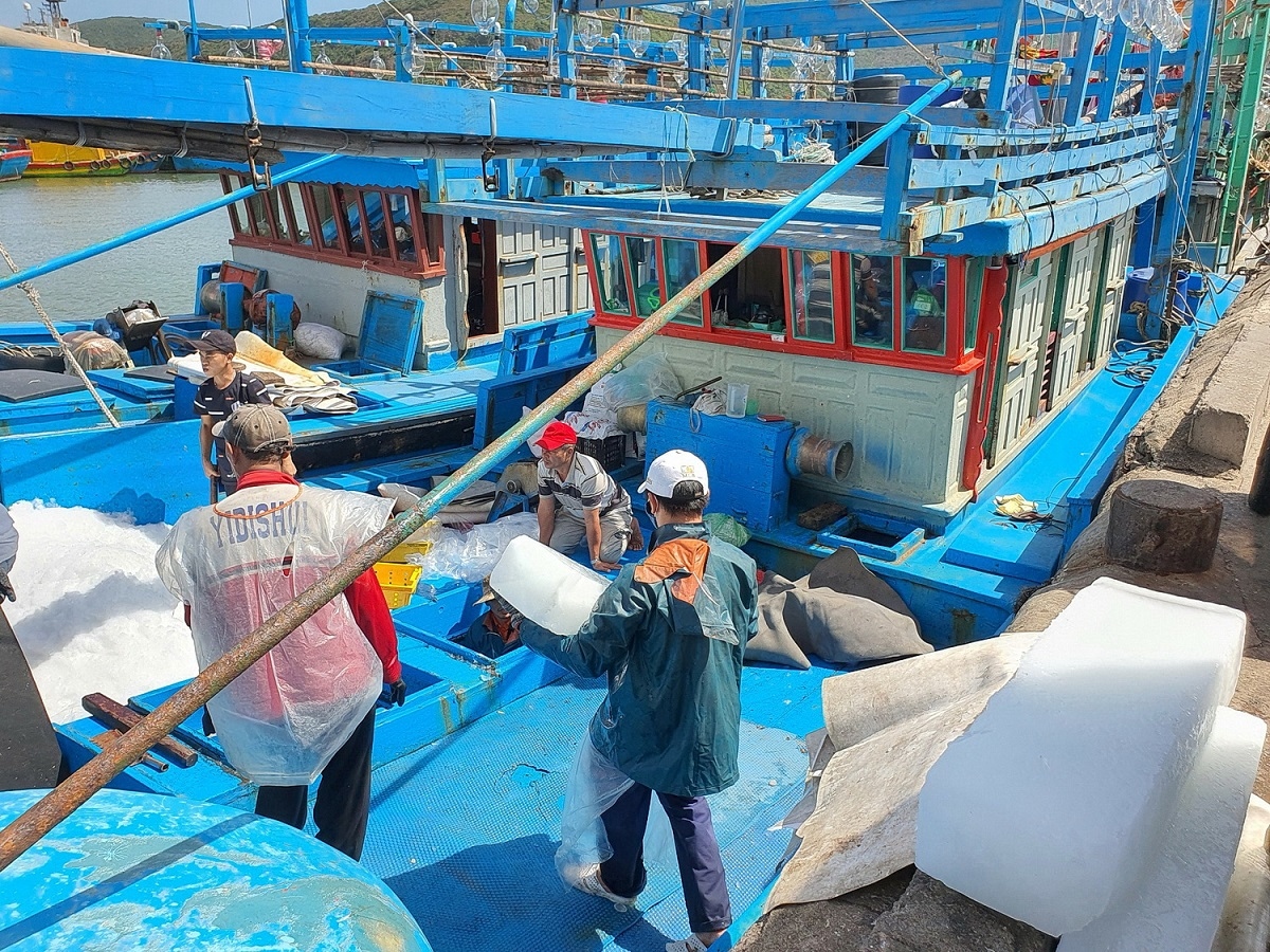800 tàu cá của ngư dân Hoài Nhơn đồng loạt ra khơi ăn Tết trên biển