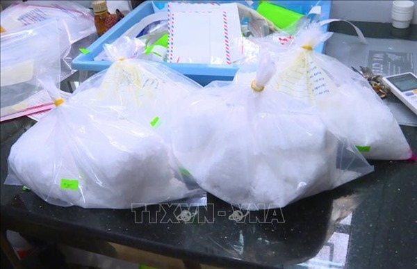 Triệt phá ổ nhóm mua bán trái phép số lượng lớn chất ma túy ở Hà Nội