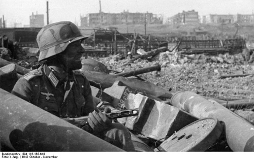 “Đội quân” chuột và nỗi ám ảnh kinh hoàng của Đức Quốc xã trong Trận Stalingrad