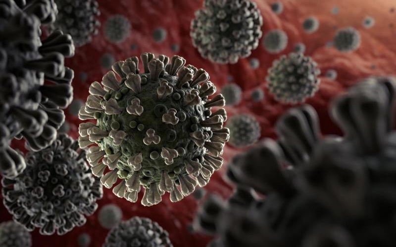 Ấn Độ phát hiện 2 biến thể đột biến cao của virus SARS-CoV-2