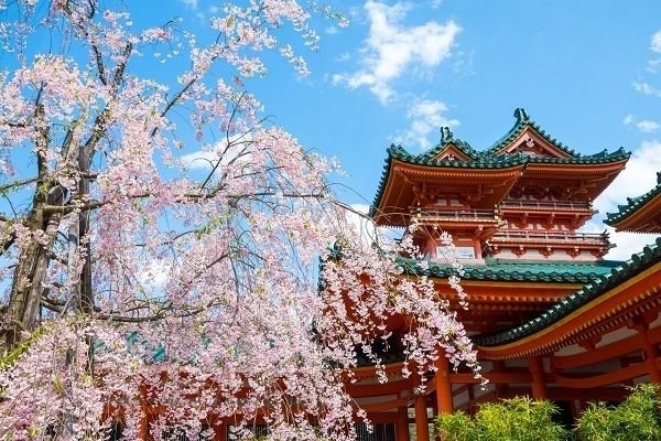 10 địa điểm ngắm hoa nổi tiếng ở Nhật Bản nhất định phải ghé thăm