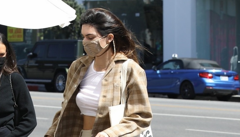 Kendall Jenner diện croptop gợi cảm dắt thú cưng đi dạo