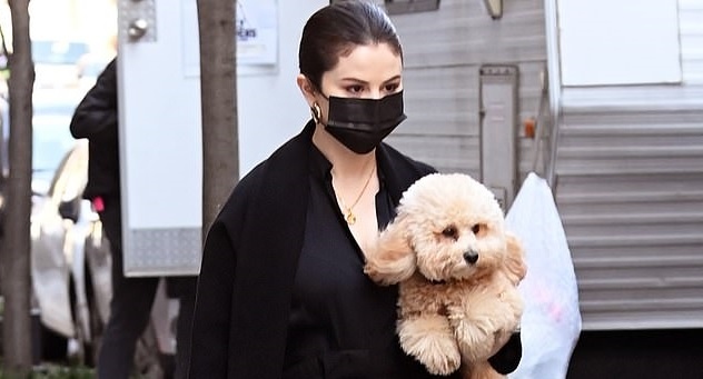 Selena Gomez mang thú cưng đến phim trường sau ồn ào giải nghệ