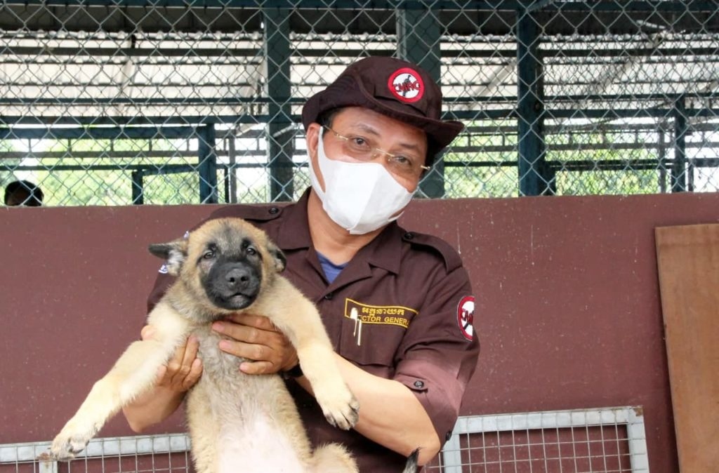 Campuchia huấn luyện chó phát hiện người mắc Covid-19