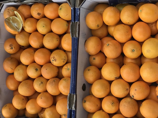 Sự thật về cam Úc siêu rẻ bán đầy vỉa hè Hà Nội
