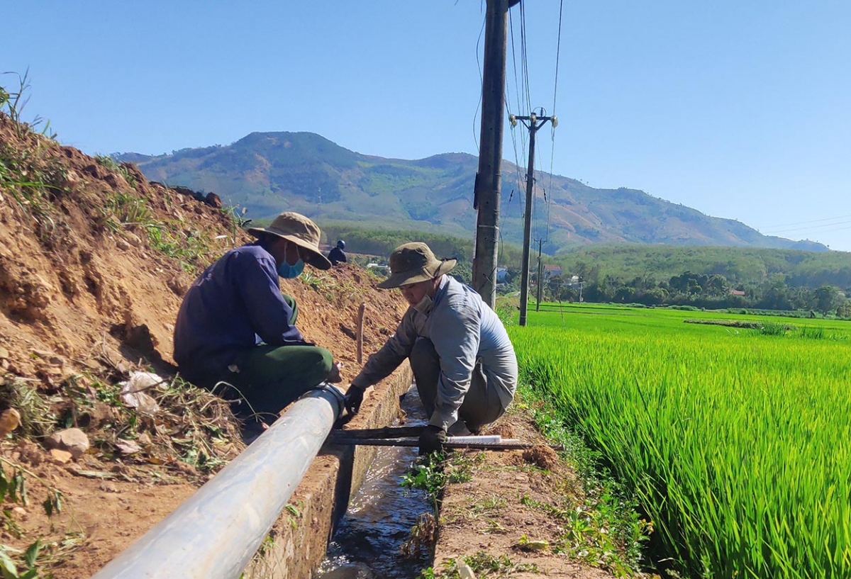 Kon Tum chủ động chống hạn cho cây trồng